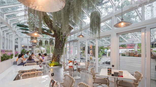 A spacious indoor dining area with high ceilings and large windows, featuring wicker furniture and hanging plants. - Sino House Phuket Hotel (Phuket)