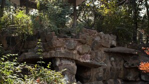 Garden - Pudi Boutique Hotel Fuxing Park Shanghai (Shanghai)