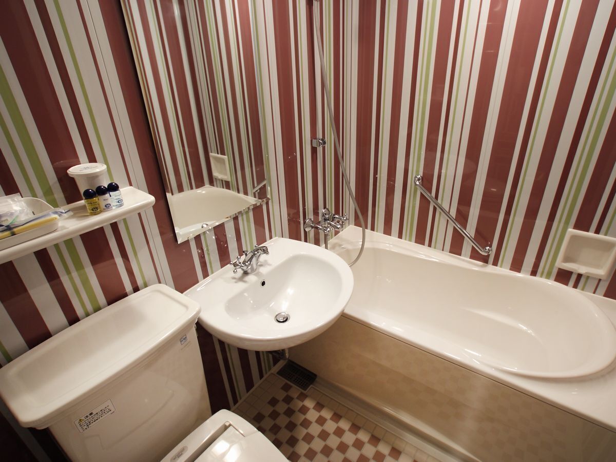 combined shower/bathtub, free toiletries, hair dryer, slippers