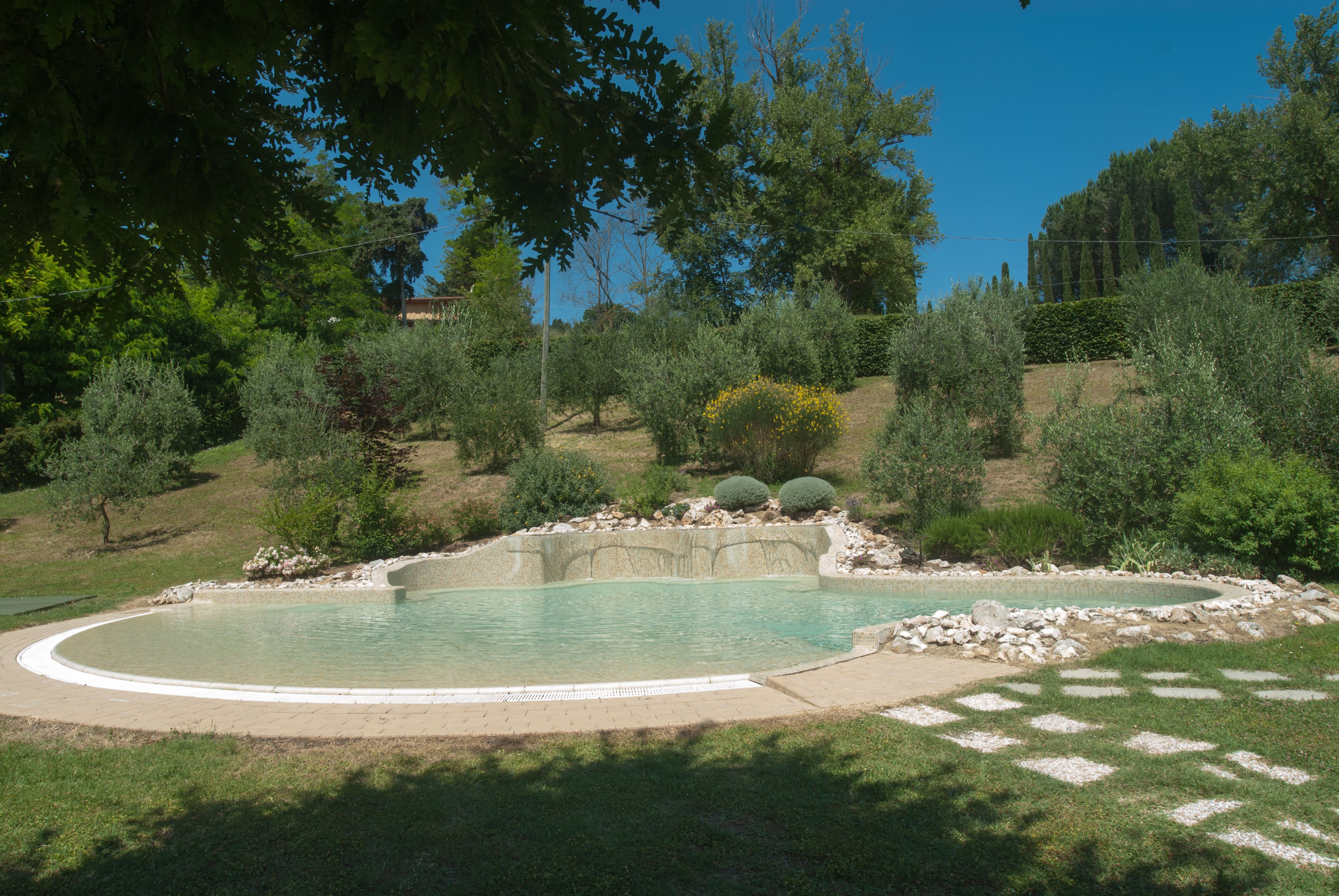 A swimming pool surrounded by a landscaped garden with various shrubs and trees.