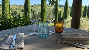 Mesa al aire libre con copas de vino y cubiertos, rodeada de follaje y árboles.