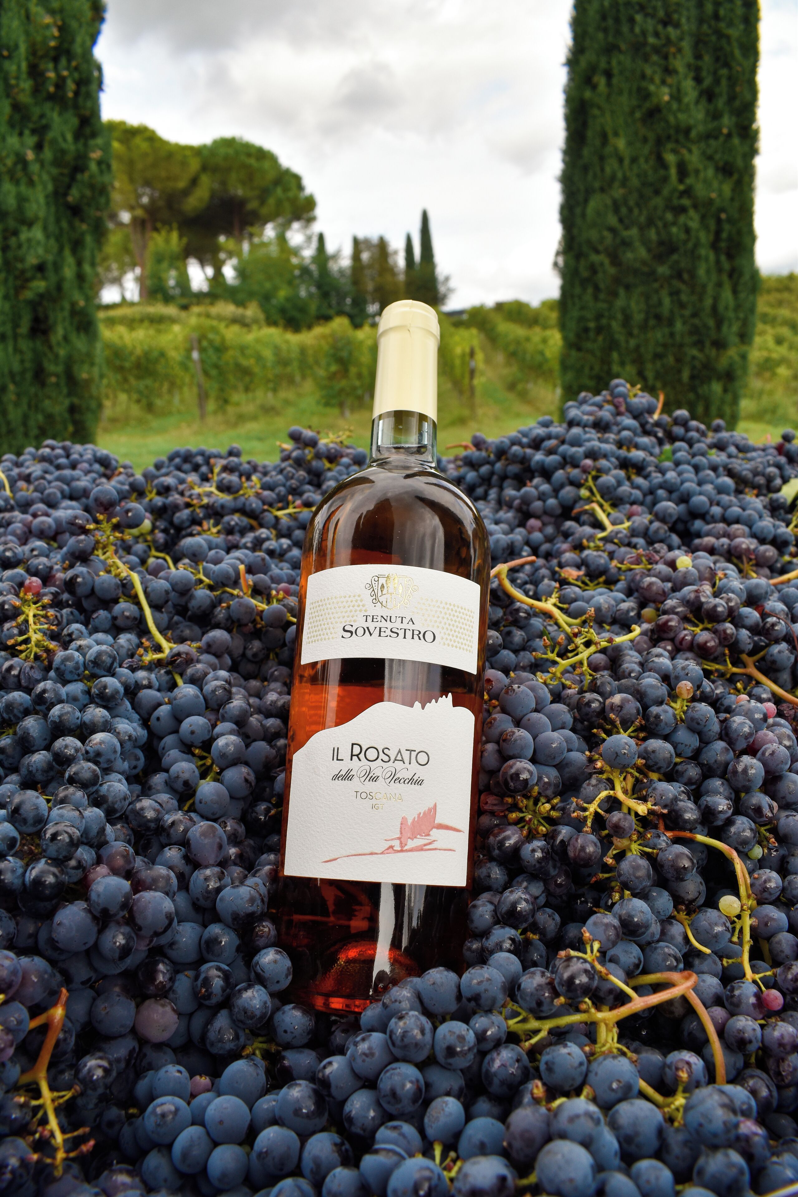 A bottle of wine surrounded by grapes.