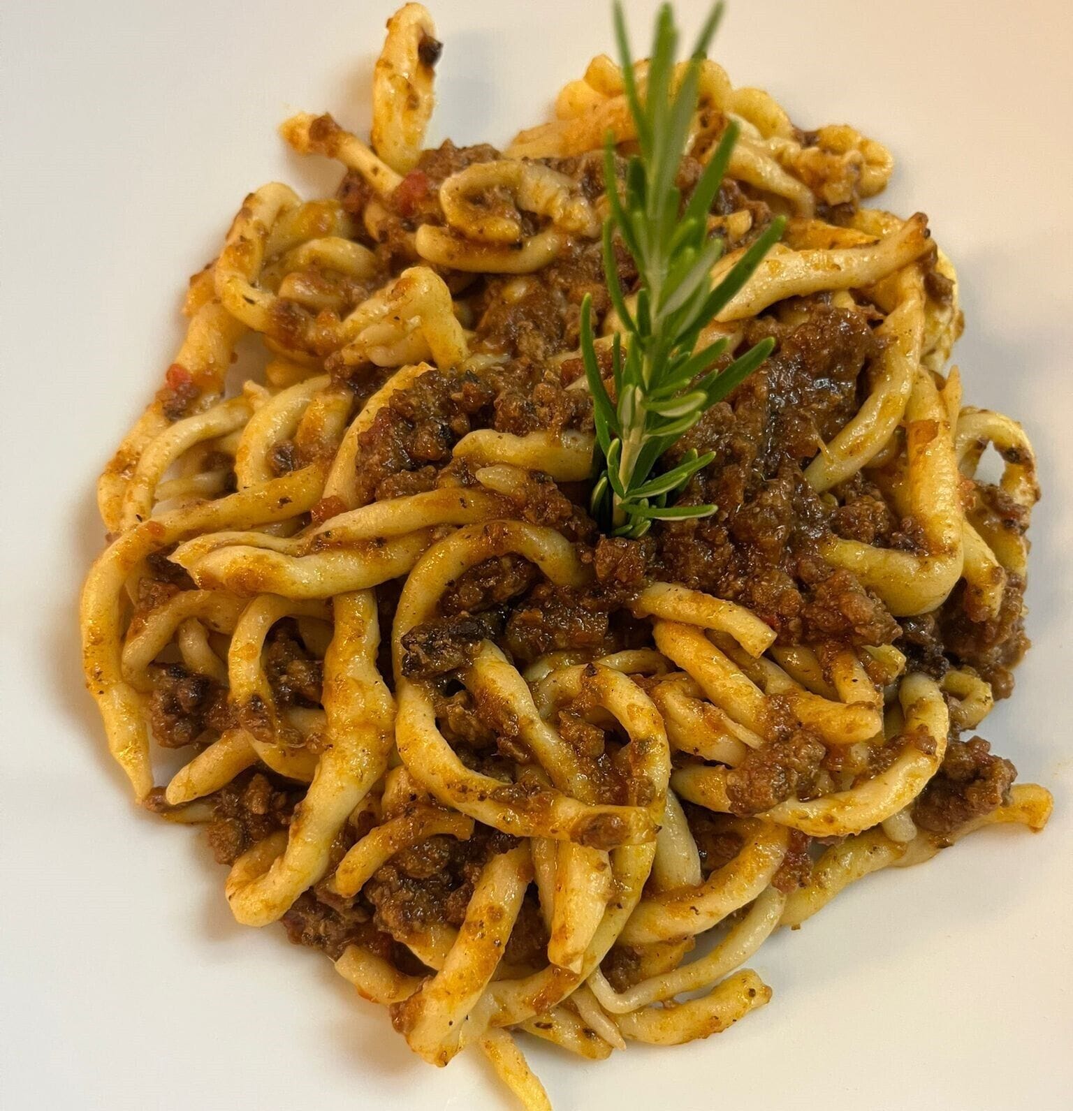 A plate of spaghetti with meat sauce and a sprig of rosemary.