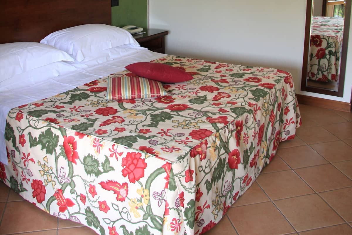 Economy Double Room | Minibar, in-room safe, desk, laptop workspace