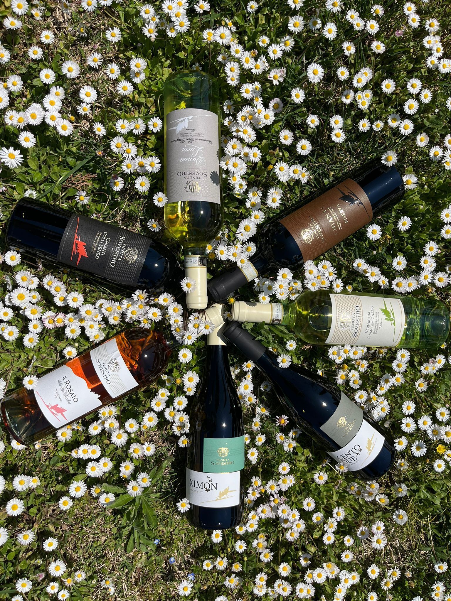 Varias botellas de vino dispuestas en círculo sobre césped, adornadas con margaritas.