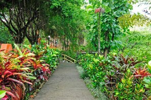 Garden - Hotel Villa Teca (Manuel Antonio)