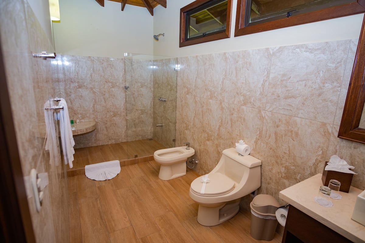 shower, free toiletries, hair dryer, bidet