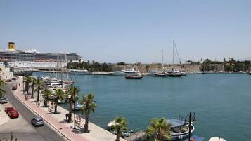 Un crucero amarrado en una marina con varios barcos y yates, un paseo marítimo pavimentado con palmeras y un cielo despejado.