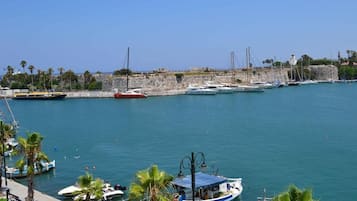 A marina with boats docked, a stone wall, and palm trees.
