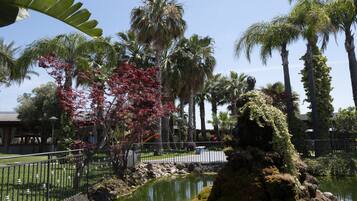 Un giardino curato con uno stagno, palme e una formazione rocciosa.