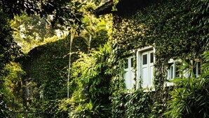 A courtyard with a table and chairs, surrounded by lush greenery and a building with multiple windows. - Kaomai Lanna Resort (San Pa Thong)