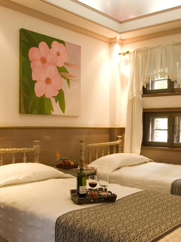 Superior Double or Twin Room | Individually furnished, laptop workspace