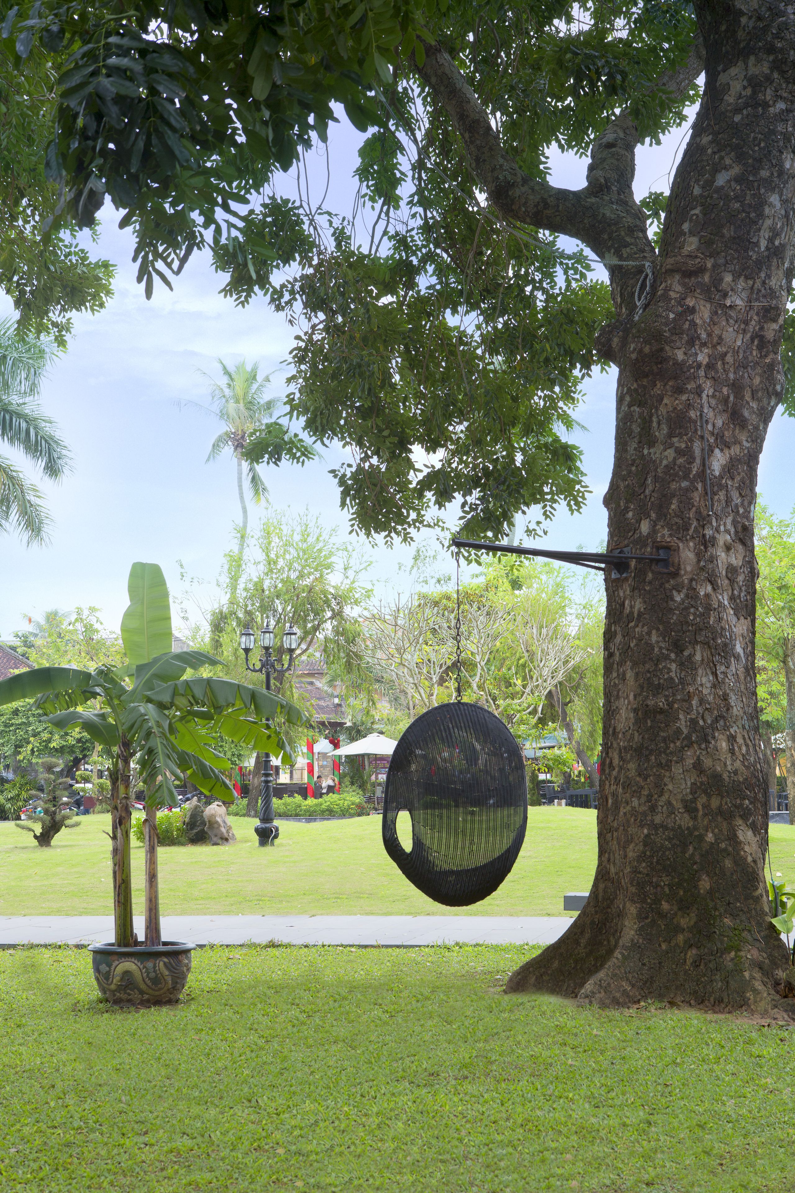 Un árbol con una hamaca colgada entre sus ramas, una planta en maceta y un farol.