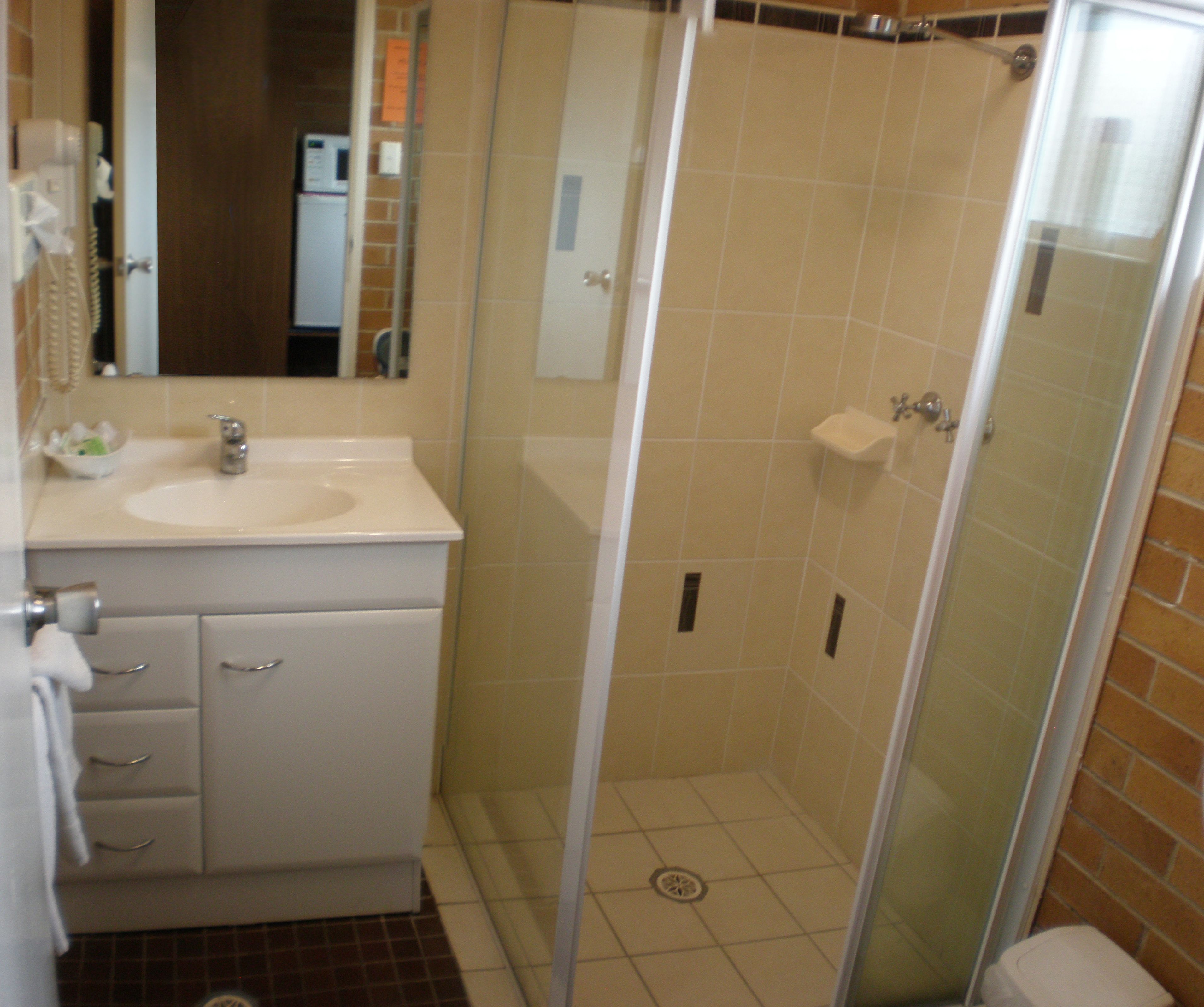A bathroom with a sink, mirror, and shower.