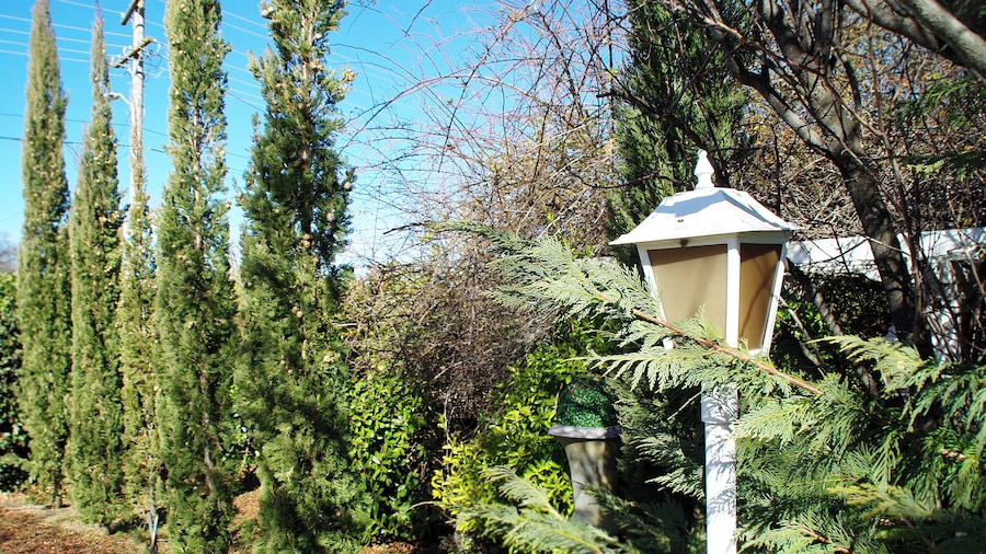 White Lanterns Motel