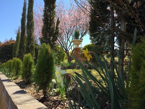A garden with various plants, a concrete pathway, and a stone structure. - White Lanterns Motel (Armidale)