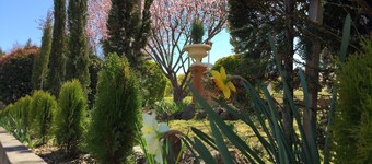 White Lanterns Motel