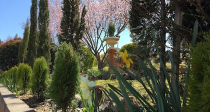 White Lanterns Motel