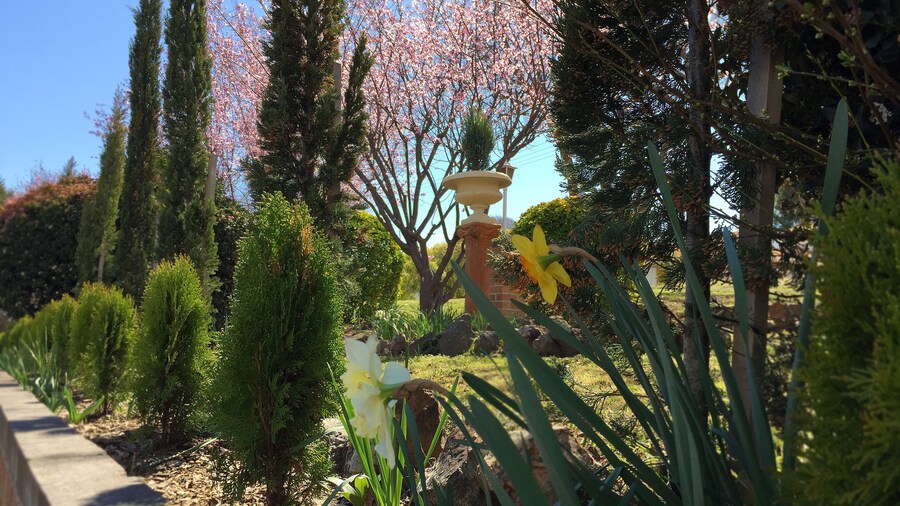 White Lanterns Motel