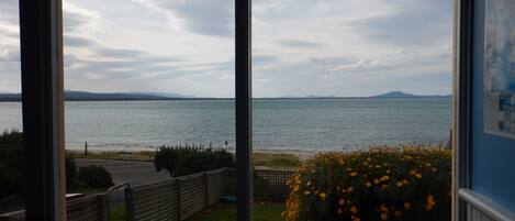 A view of a lake from a window, with a fence and flowers in the foreground.