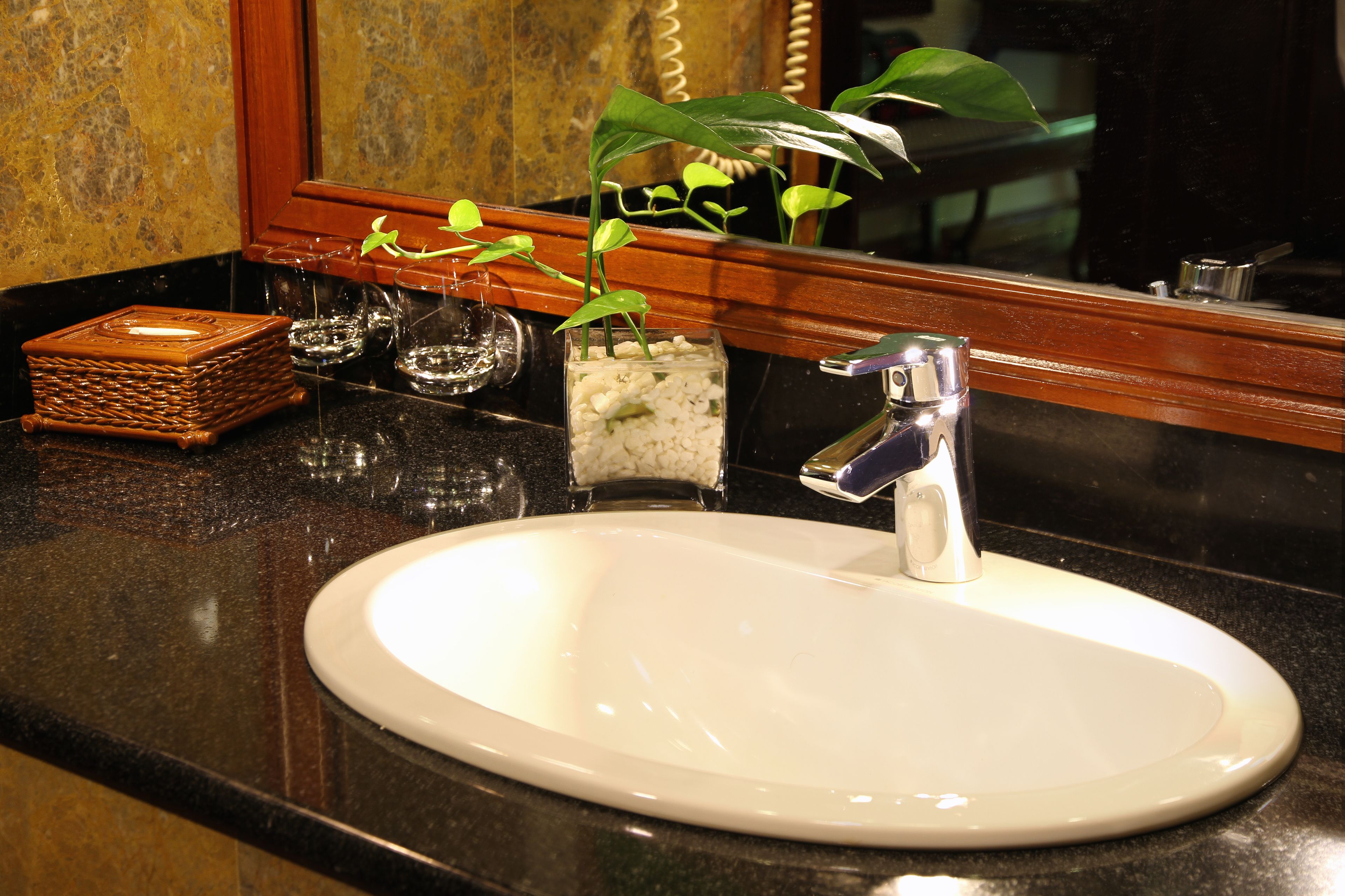 A bathroom sink with a mirror above it, a small plant, and a soap dish.