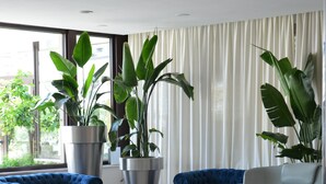 A modern living room with blue sofas, large potted plants, and a view of greenery outside. - Oxygen Lifestyle Hotel  (Rimini)