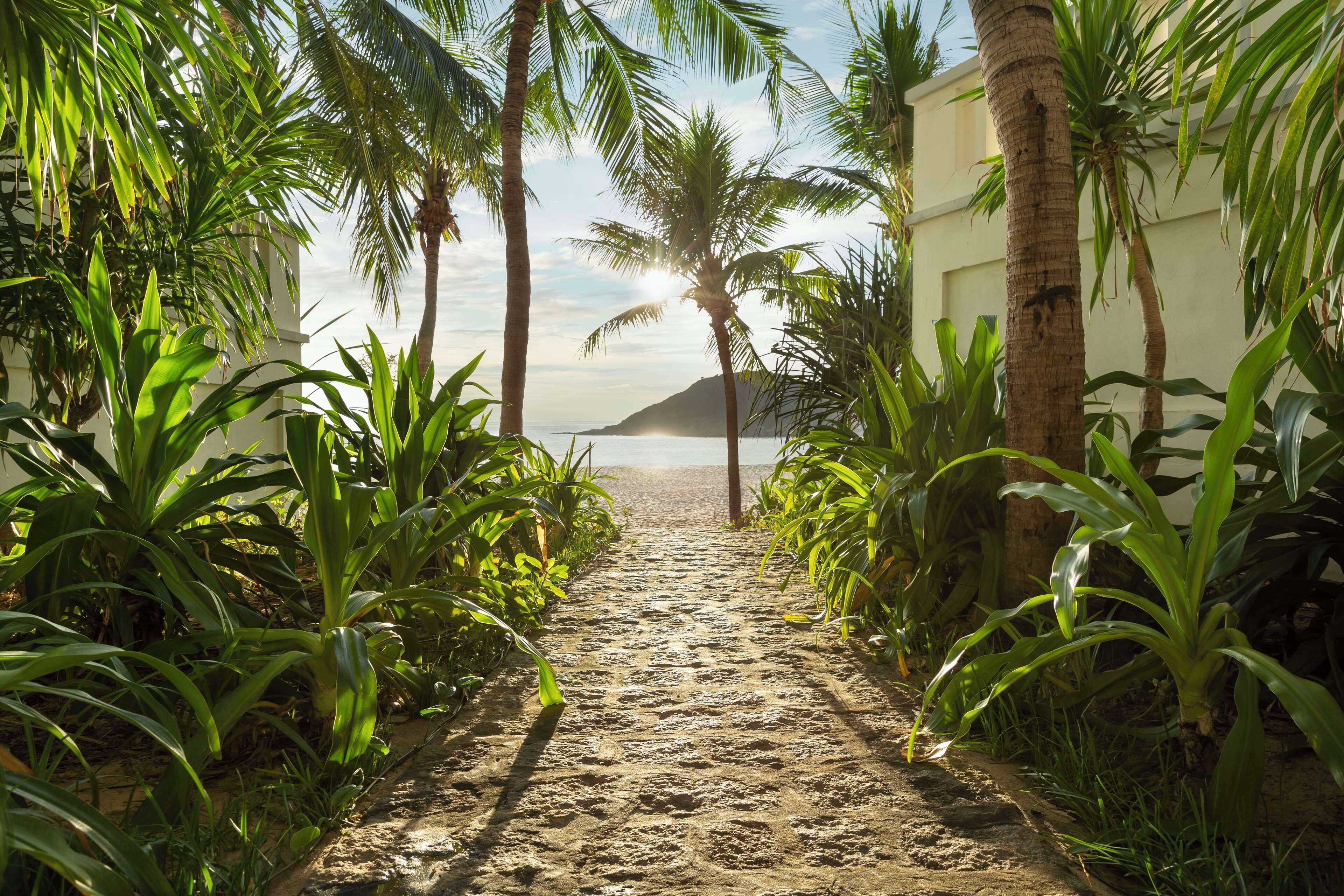 Privat strand, solstolar, parasoller och strandhanddukar