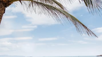 Escena de playa con una hamaca, sillas de descanso y sombrillas bajo una palmera.
