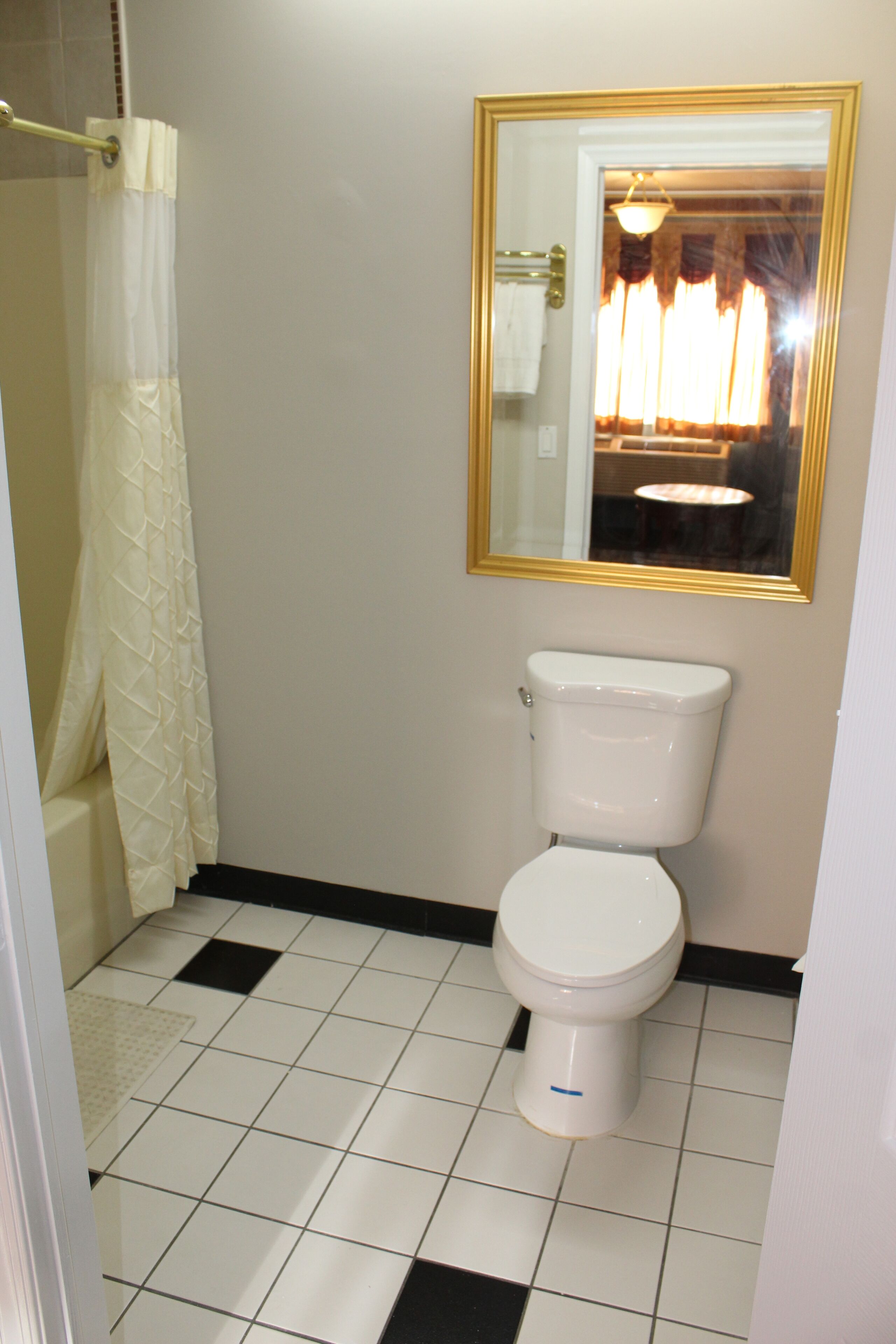 Une salle de bain avec des toilettes, un rideau de douche et un miroir avec un cadre doré.