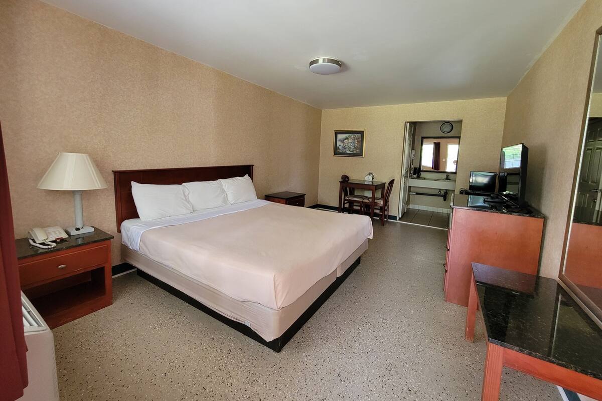 A hotel room with a large bed, bedside table with a lamp, a desk with a chair, a mirror, and a television.