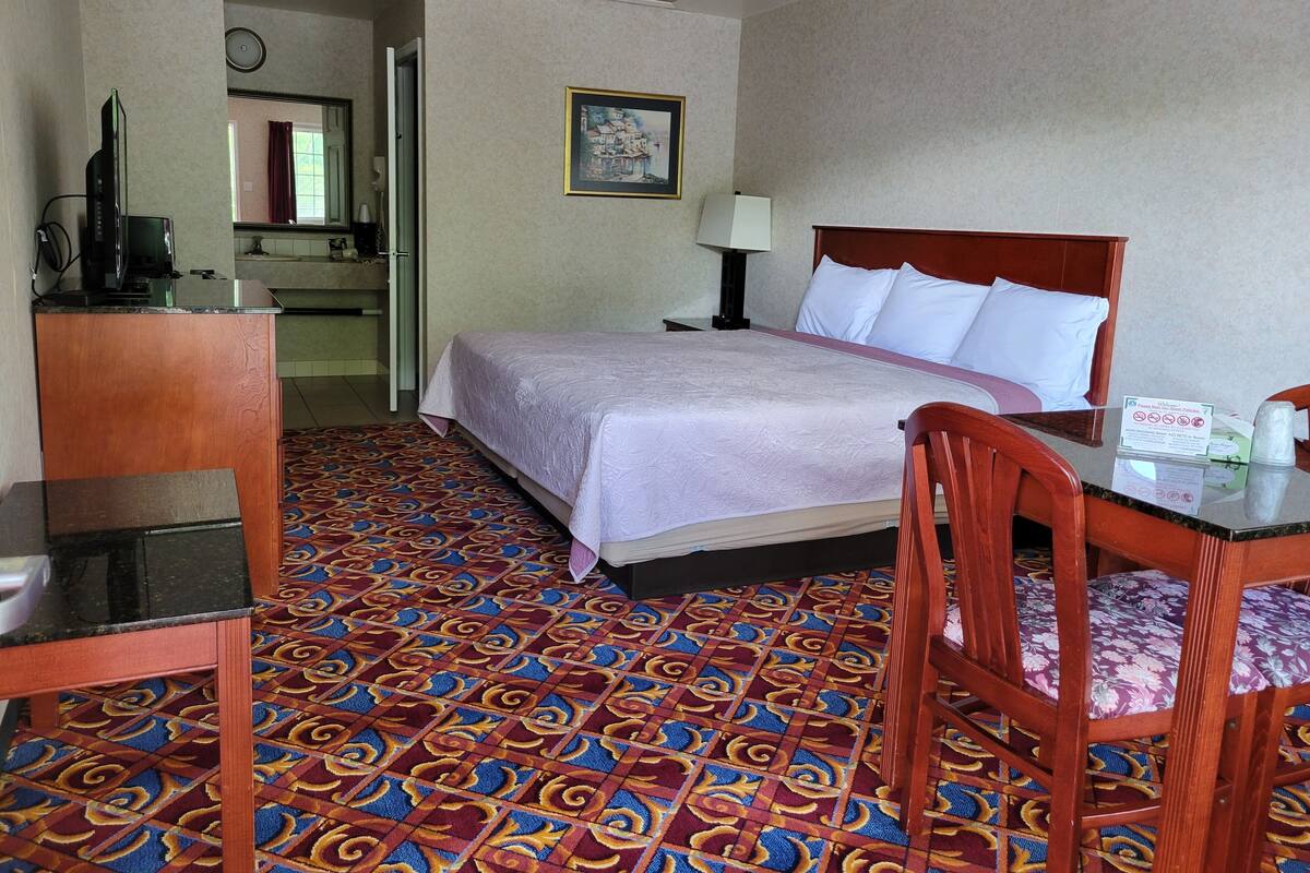 A hotel room with a bed, a desk, a chair, a television, and a patterned carpet.
