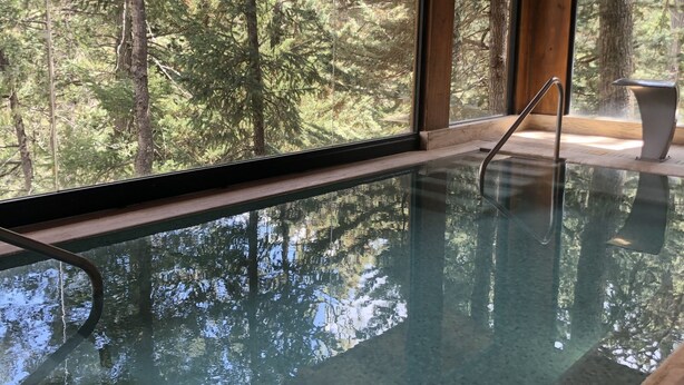 Ein Innenpool mit großen Glaswänden, Holzbalken und Blick auf einen Wald.