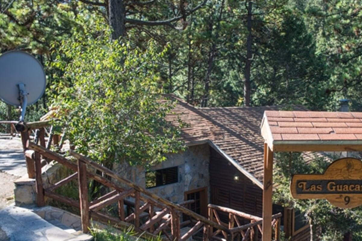 A rustic wooden building with a sign reading "Las Guacamayas 9" surrounded by dense forest.