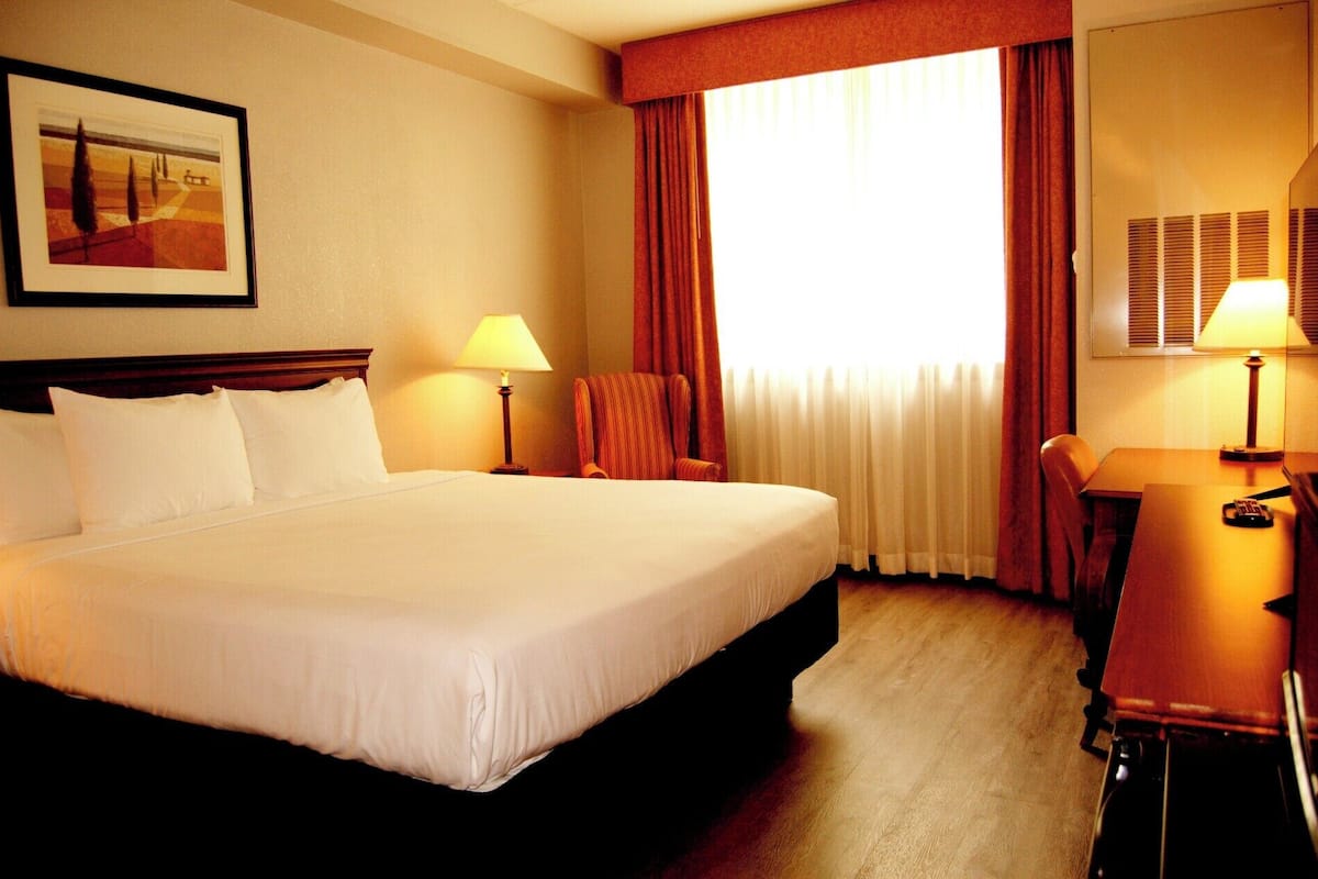 economy room, 1 king bed | 1 bedroom, hypo-allergenic bedding, desk, laptop workspace