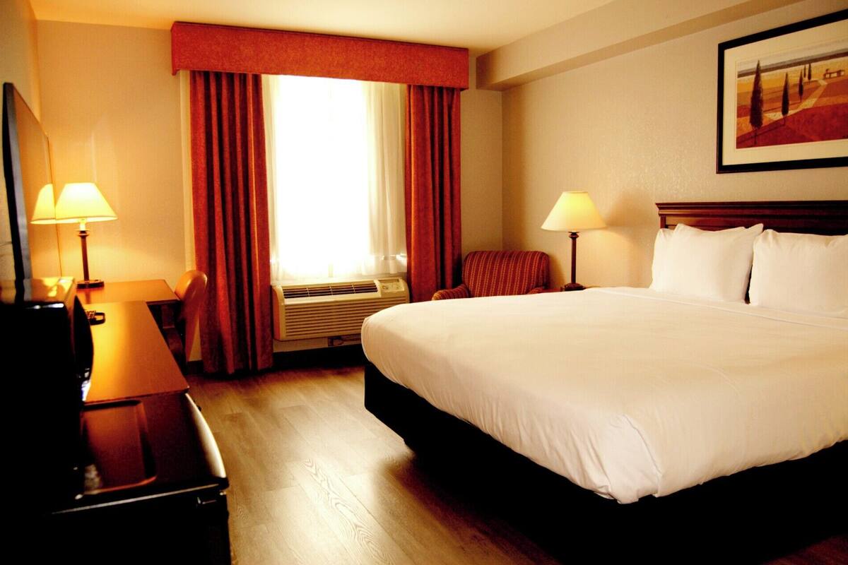 standard room, 1 king bed | 1 bedroom, hypo-allergenic bedding, desk, laptop workspace