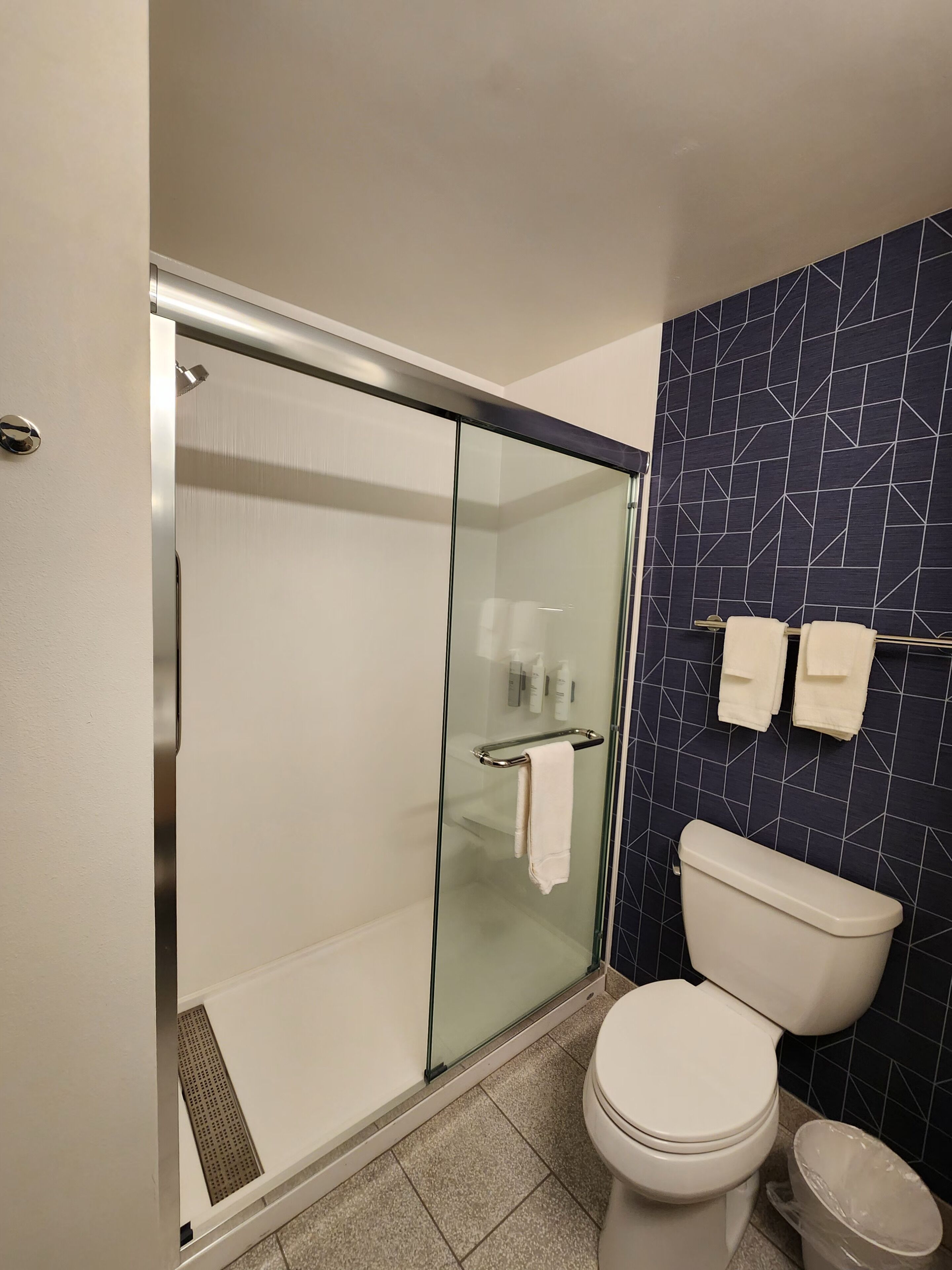 A modern bathroom with a glass-enclosed shower, a toilet, and a sink.