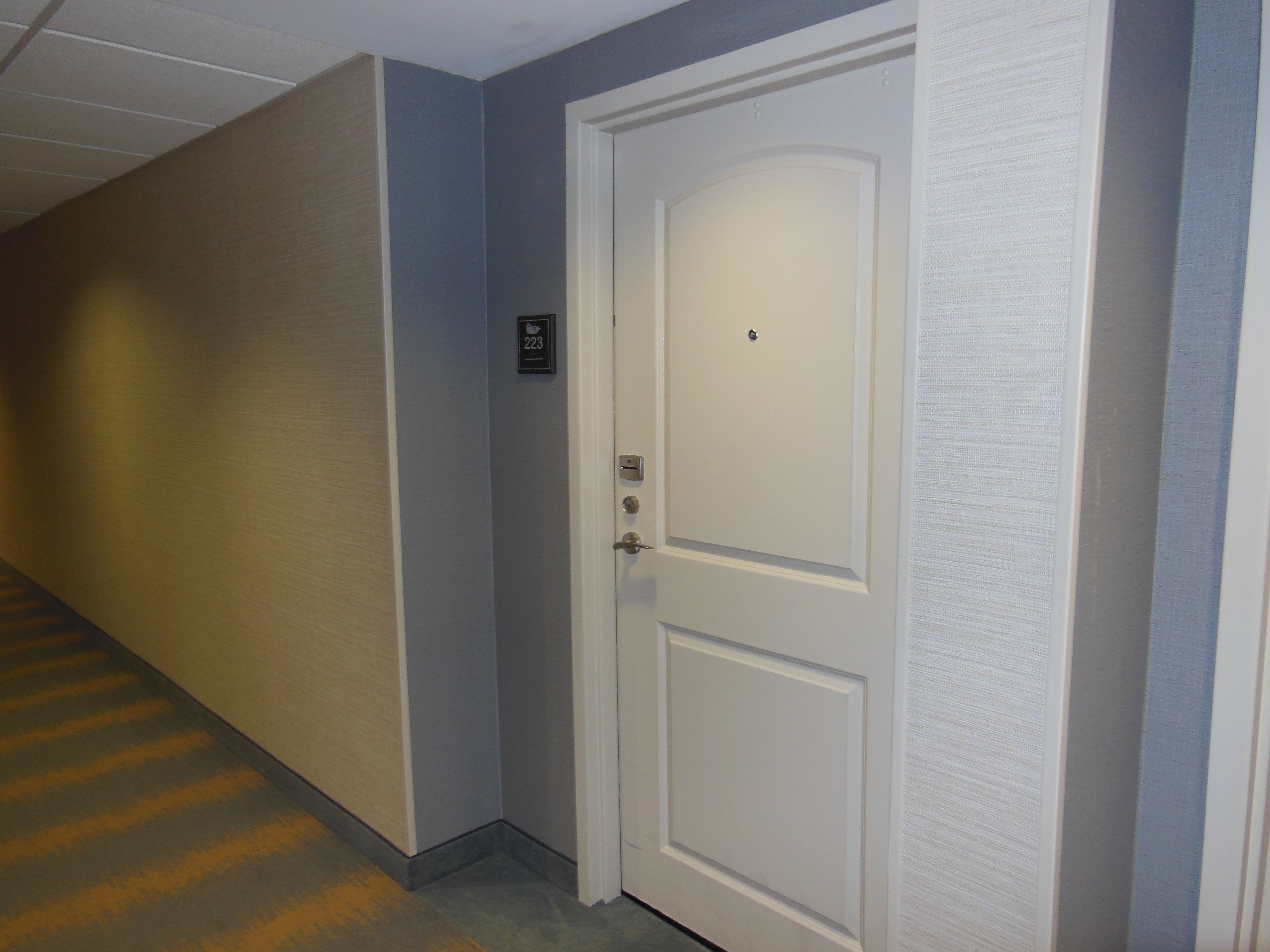 A hallway with a white door, a wall-mounted sign with the number 223, and a carpeted floor.