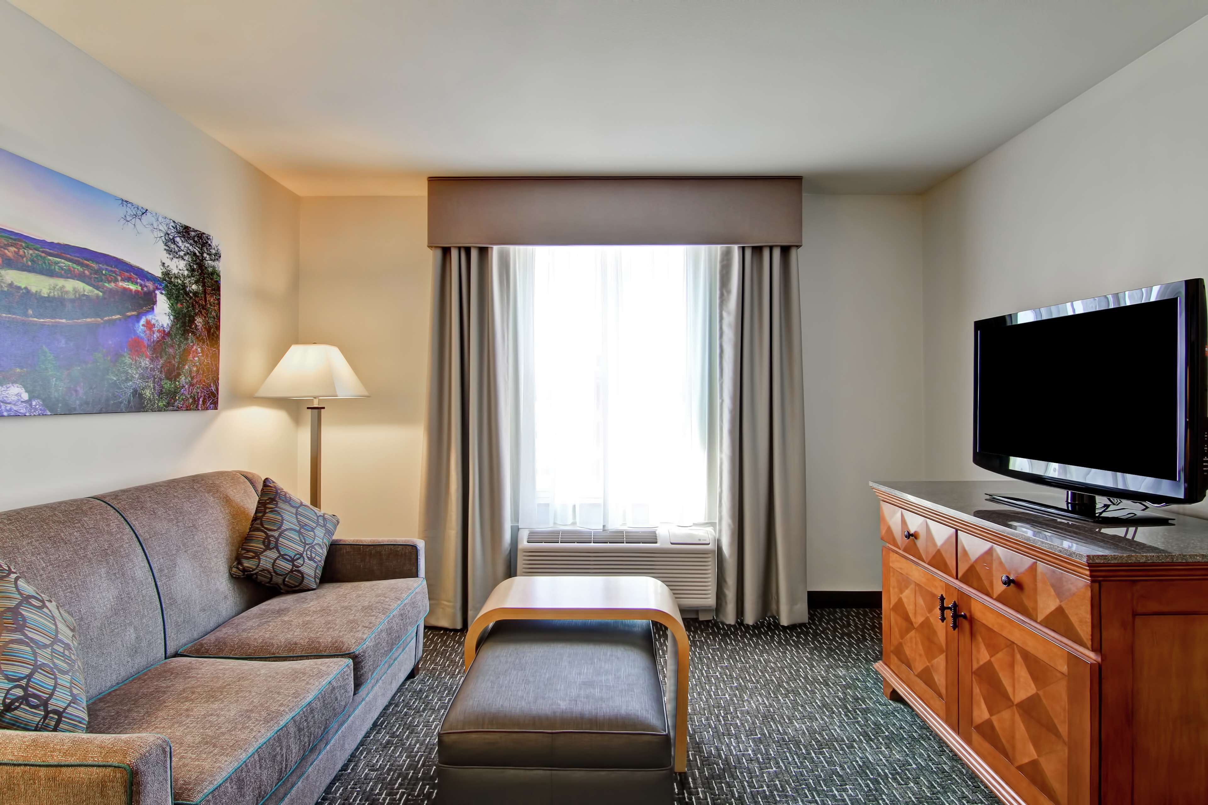 Une chambre d’hôtel avec un canapé, un pouf, une télévision et un tableau au mur.