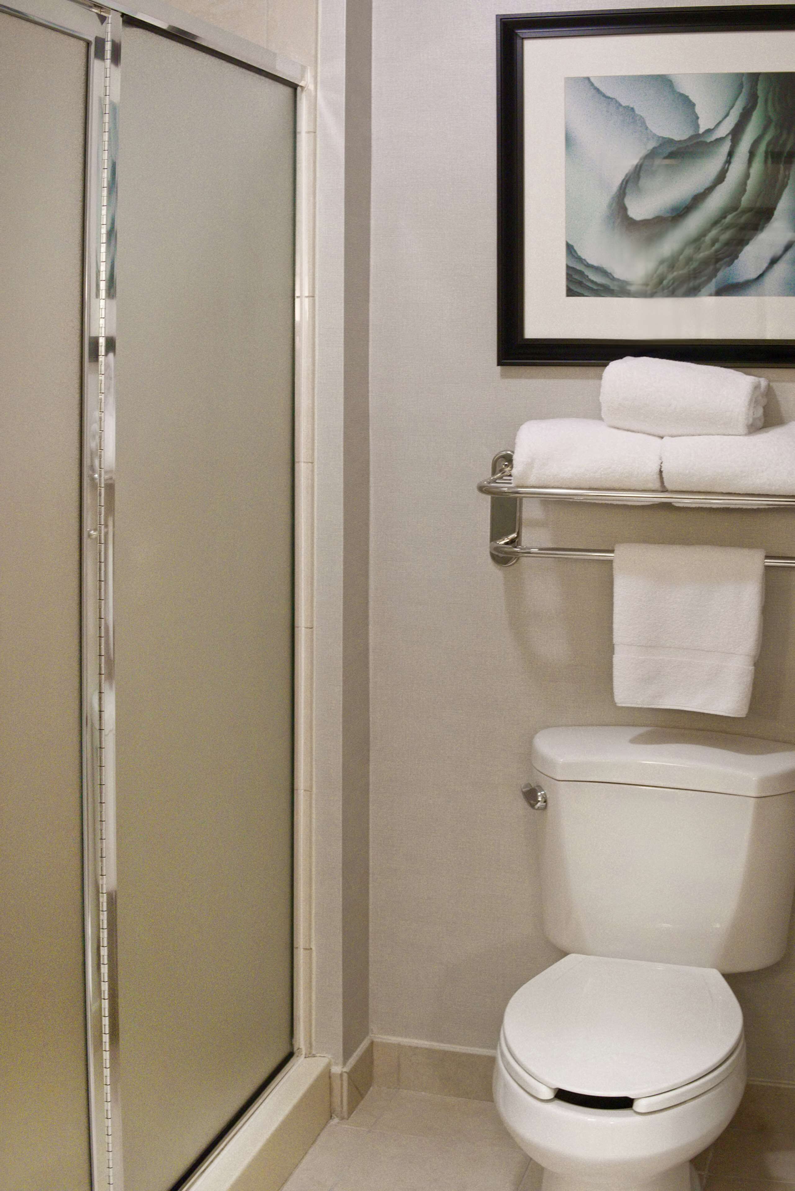 A bathroom with a toilet, a towel rack, and a shower door.