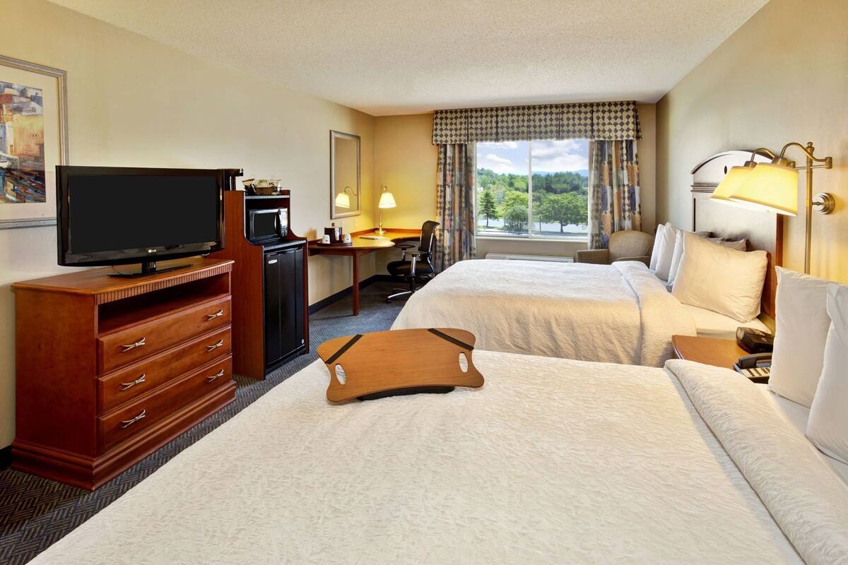 A hotel room with two beds, a TV, a desk, a chair, and a window with a view of greenery.