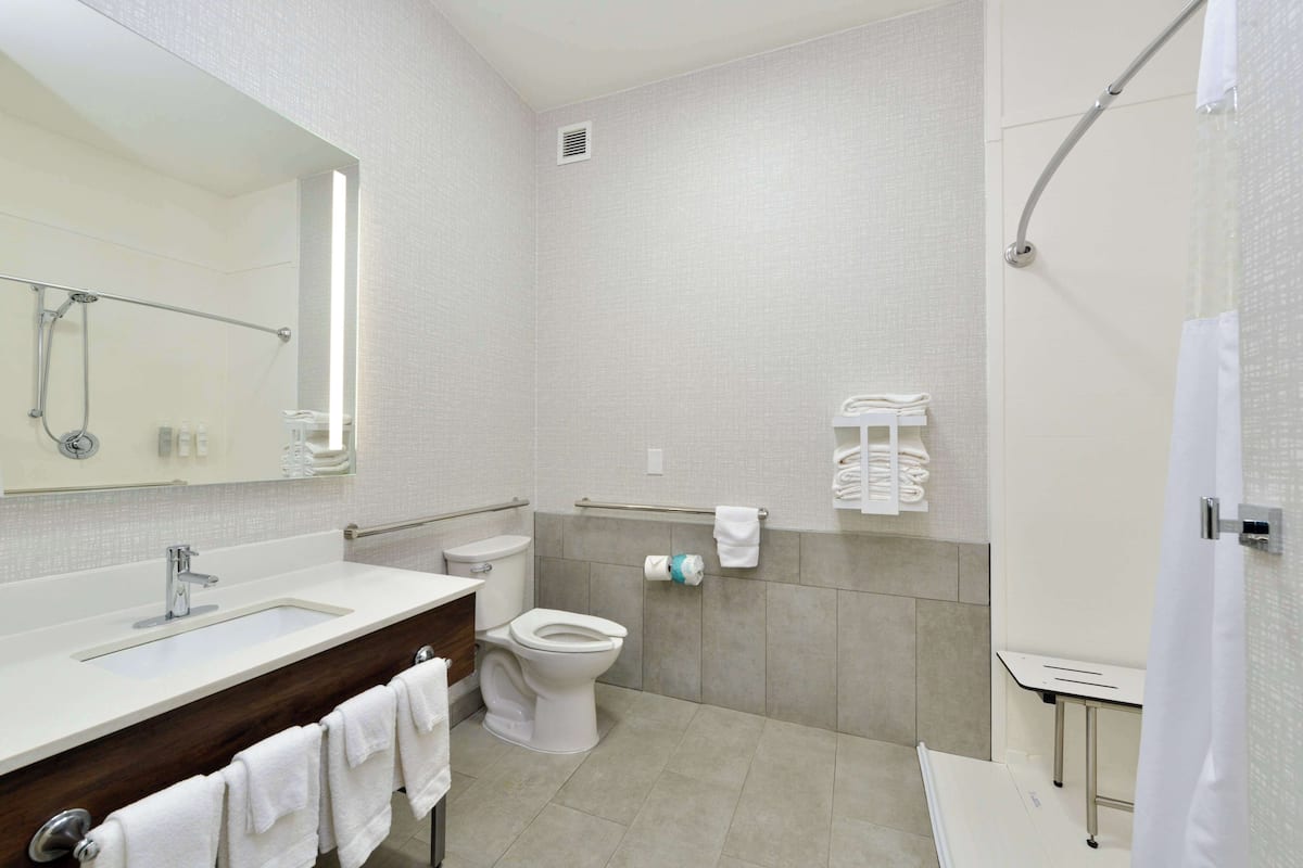 studio, accessible, non smoking | bathroom shower