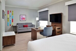One king studio sofabed non smoking | In-room safe, desk, iron/ironing board, free cribs/infant beds - Hampton Inn & Suites Greenville (Greenville)