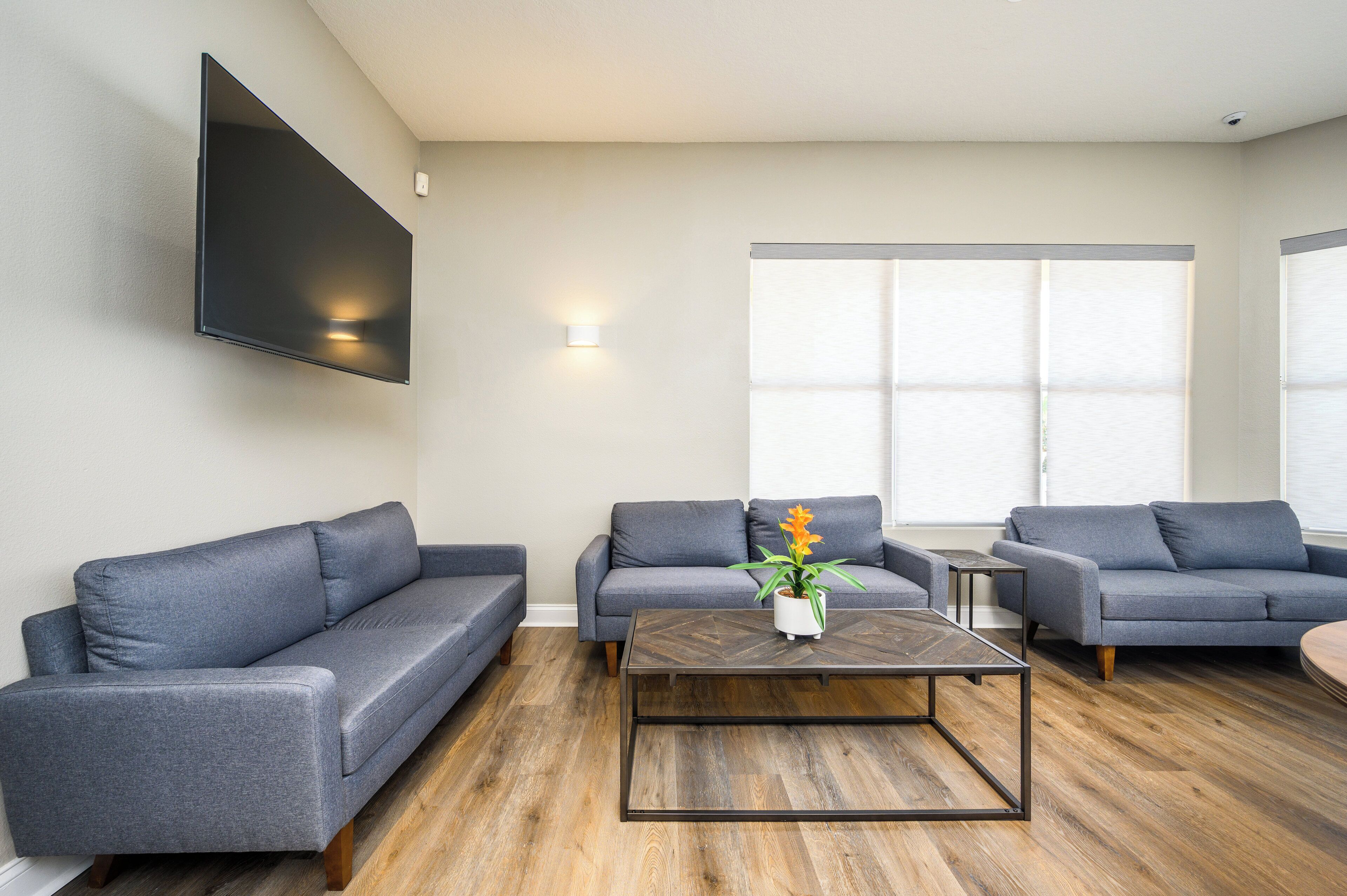 A modern living room with two grey sofas, a wooden coffee table, and a potted plant.