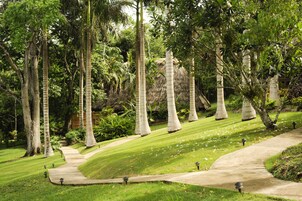 Área de parrillas y picnic