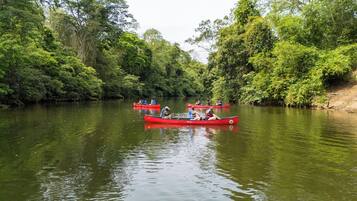 A river with several red canoes, surrounded by dense green foliage.