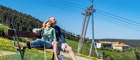 Una pareja sentada en un banco en un espacio verde, con cielo despejado y líneas eléctricas al fondo.