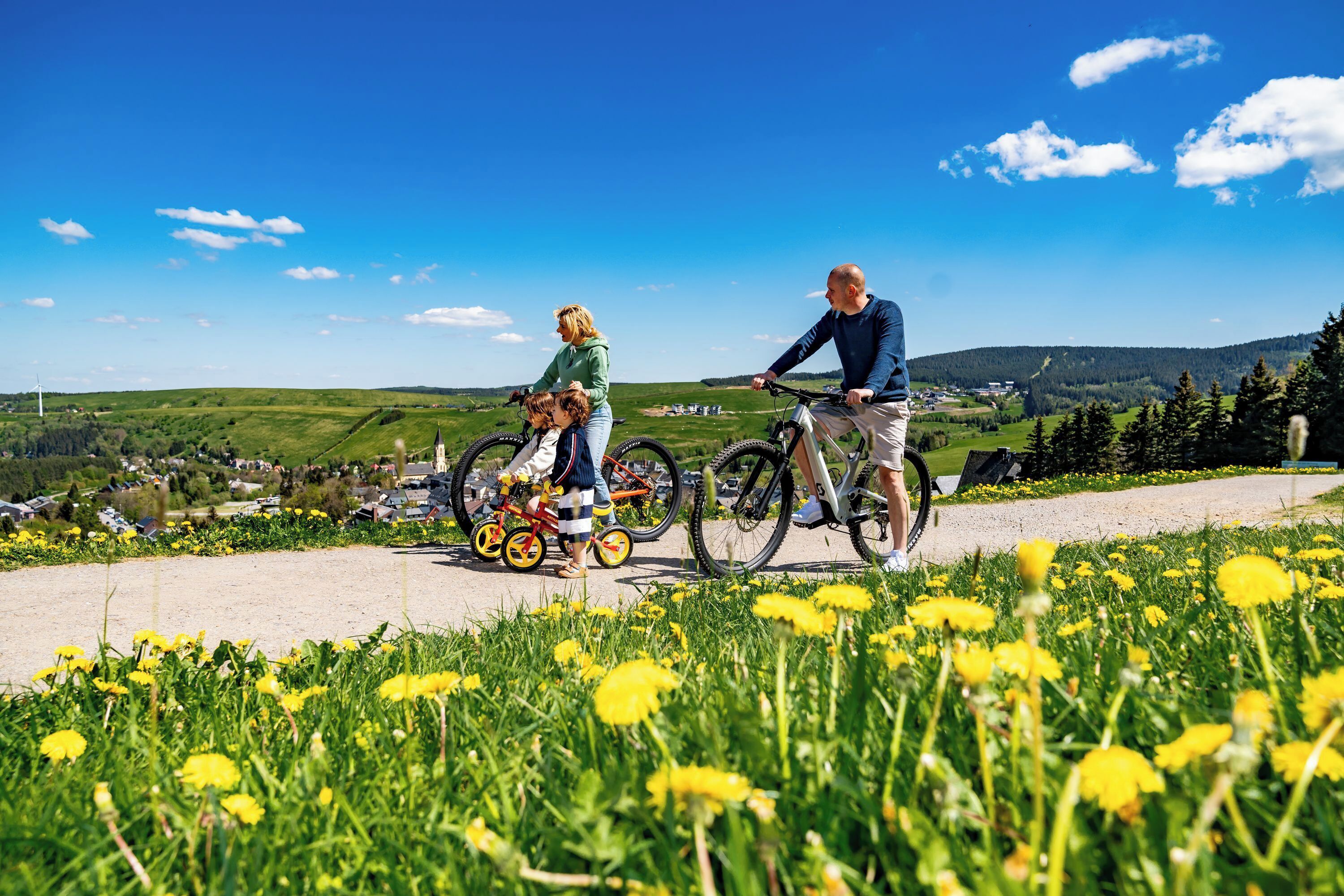 A paved path with dandelions and a rural landscape in the background.