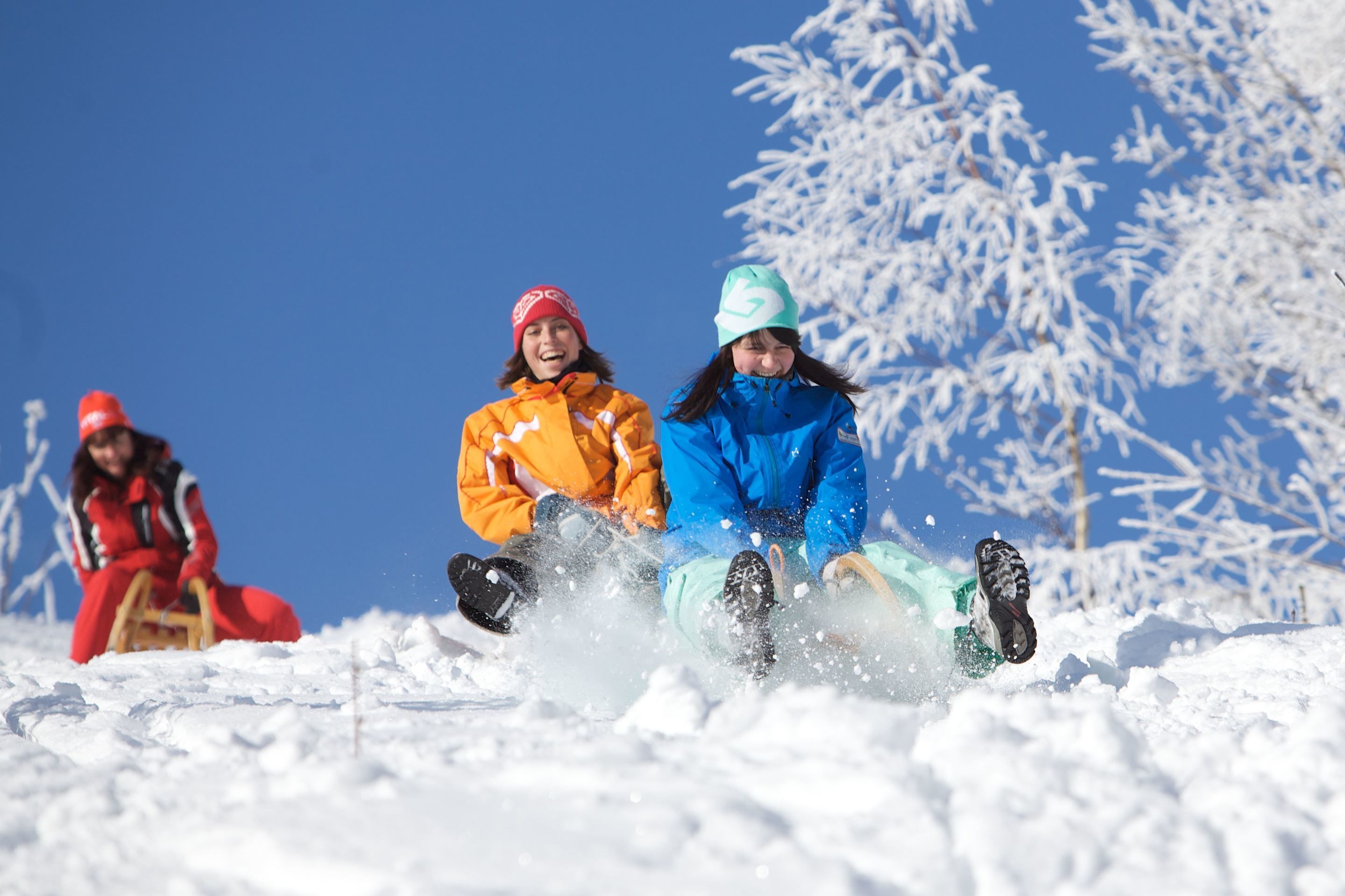 Three people sledding in a snowy landscape with snow-covered trees.