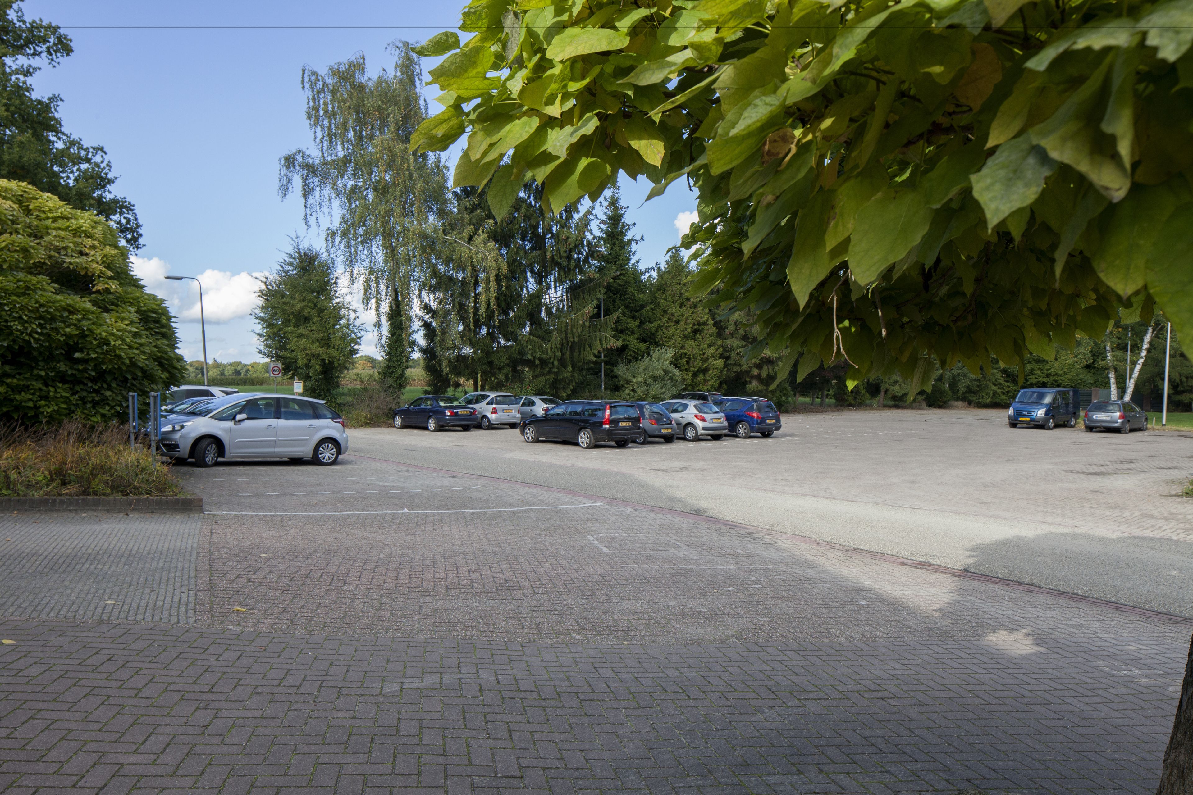 Un parking où sont garées plusieurs voitures, entouré d’arbres et de verdure.