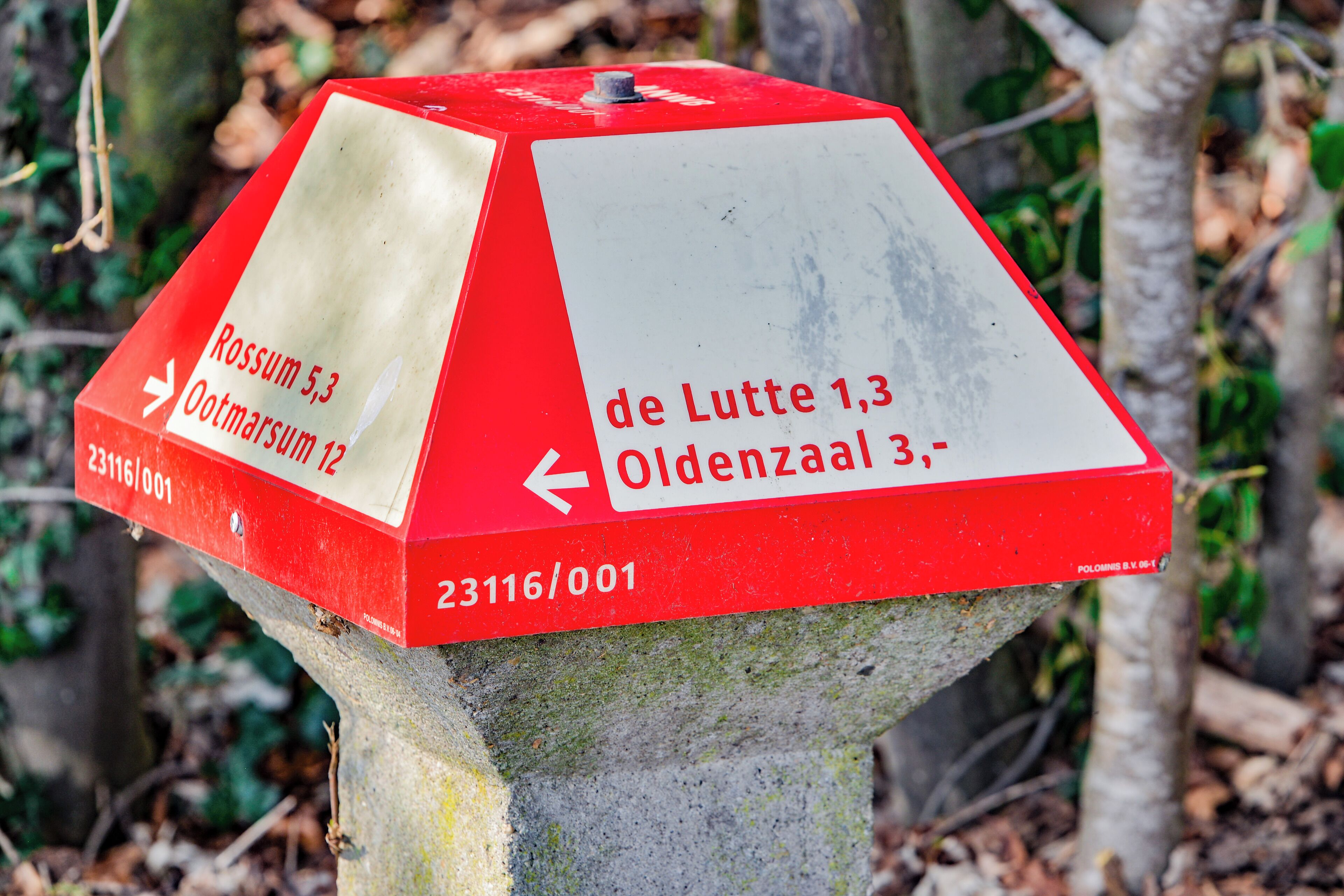 A directional sign with arrows and distances to locations named Rossum, Ootmarsum, de Lutte, and Oldenzaal.